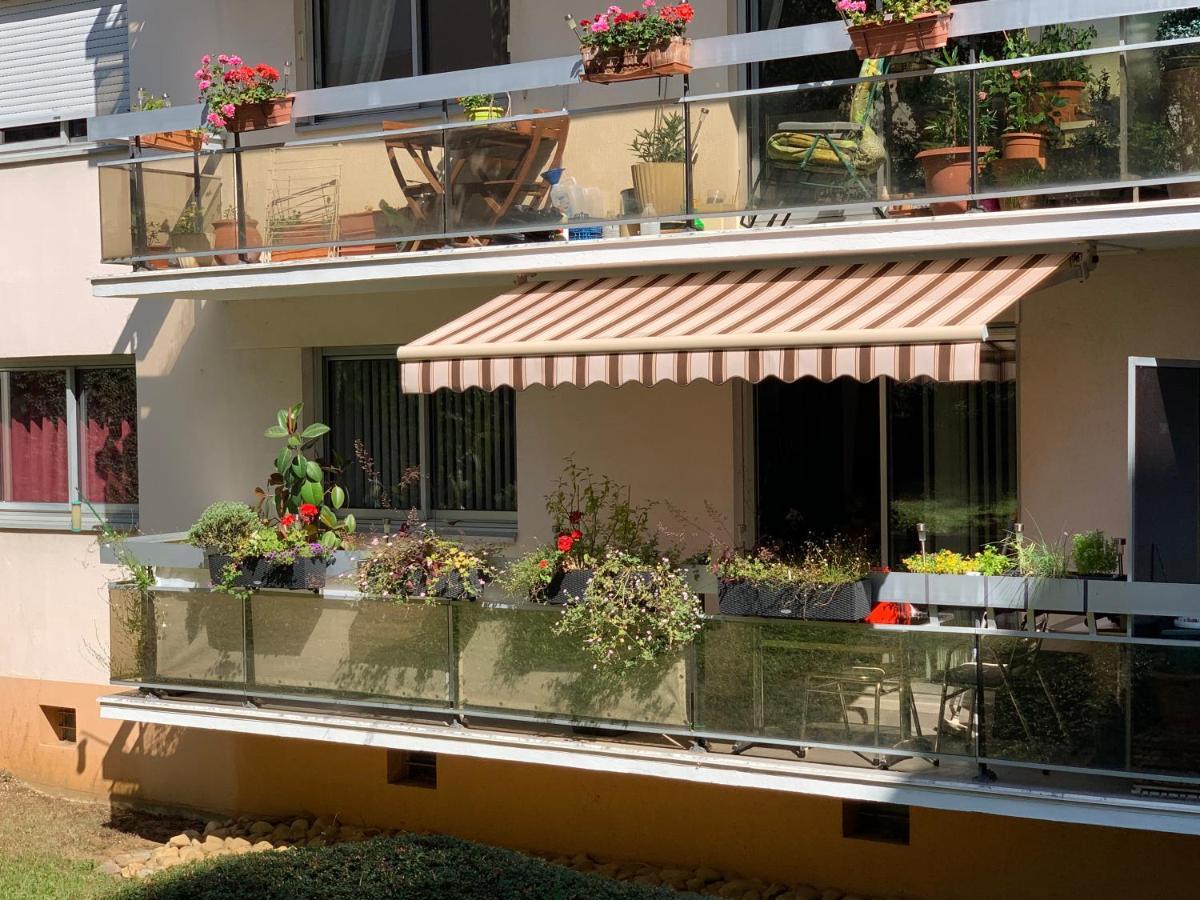Villers-lès-Nancy Mes Oasis Nancy Bed & Breakfast エクステリア 写真